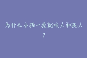 为什么小猫一摸就咬人和挠人?-动物百科