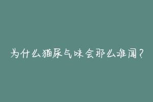 为什么猫尿气味会那么难闻?-动物百科