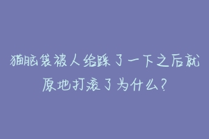 猫脑袋被人给踩了一下之后就原地打滚了为什么?-动物百科