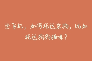 坐飞机，如何托运宠物，比如托运狗狗猫咪？-动物百科