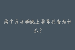两个月小猫晚上异常兴奋为什么？-动物百科