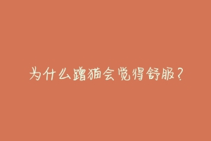 为什么蹭猫会觉得舒服？-动物百科