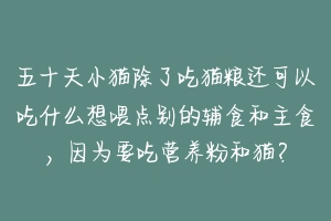 五十天小猫除了吃猫粮还可以吃什么想喂点别的辅食和主食,因为要吃营养粉和猫?-动物百科