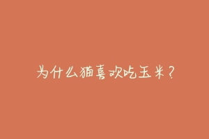为什么猫喜欢吃玉米?-动物百科