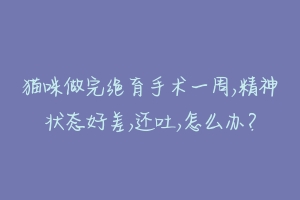 猫咪做完绝育手术一周,精神状态好差,还吐,怎么办?-动物百科