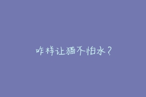 咋样让猫不怕水?-动物百科