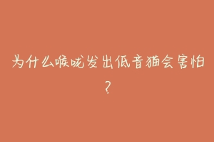 为什么喉咙发出低音猫会害怕?-动物百科