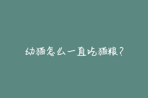 幼猫怎么一直吃猫粮?-动物百科