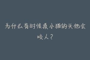 为什么有时候摸小猫的头他会咬人?-动物百科