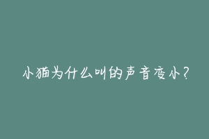 小猫为什么叫的声音变小?-动物百科