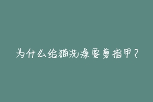 为什么给猫洗澡要剪指甲?-动物百科