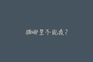 猫哪里不能摸？-动物百科