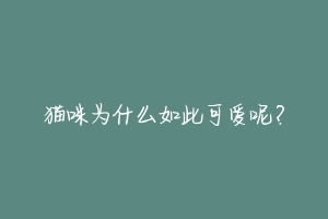 猫咪为什么如此可爱呢？-动物百科