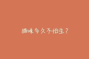 猫咪多久不怕生？-动物百科