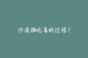 沙漠猫吃毒蛇过程？-动物百科