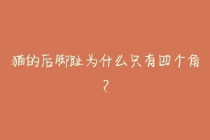 猫的后脚趾为什么只有四个角？-动物百科