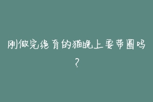 刚做完绝育的猫晚上要带圈吗？-动物百科