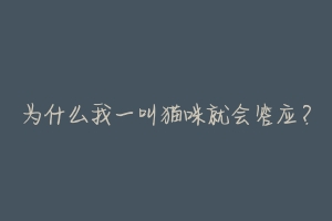 为什么我一叫猫咪就会答应？-动物百科