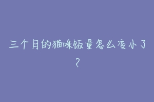 三个月的猫咪饭量怎么变小了？-动物百科