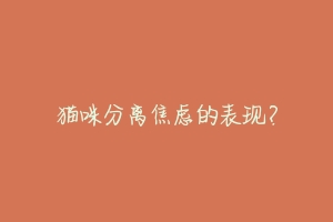 猫咪分离焦虑的表现?-动物百科