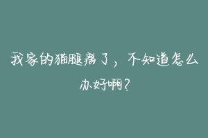我家的猫腿瘸了,不知道怎么办好啊?-动物百科