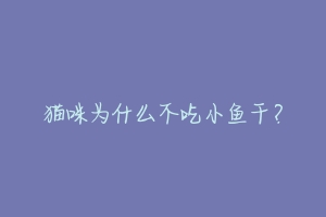 猫咪为什么不吃小鱼干?-动物百科
