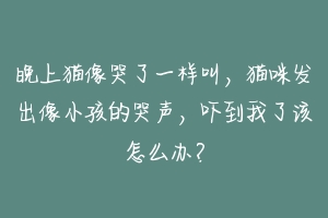 晚上猫像哭了一样叫,猫咪发出像小孩的哭声,吓到我了该怎么办?-动物百科