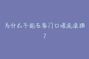 为什么不能在家门口喂流浪猫?-动物百科