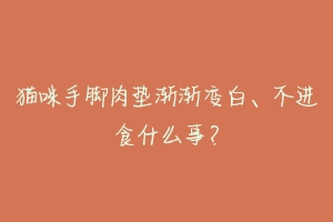 猫咪手脚肉垫渐渐变白、不进食什么事?-动物百科