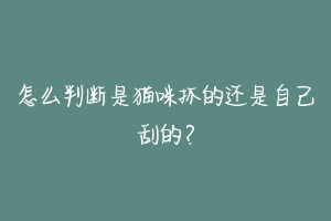 怎么判断是猫咪抓的还是自己刮的?-动物百科
