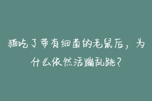 猫吃了带有细菌的老鼠后，为什么依然活蹦乱跳？-动物百科