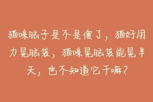 猫咪脑子是不是傻了，猫好用力晃脑袋，猫咪晃脑袋能晃半天，也不知道它干嘛？-动物百科