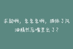 求助啊，急急急啊，猫舔了风油精然后嘴里出了？-动物百科