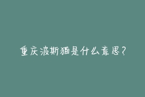 重庆波斯猫是什么意思？-动物百科