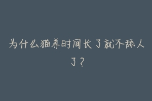为什么猫养时间长了就不舔人了?-动物百科