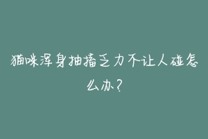 猫咪浑身抽搐乏力不让人碰怎么办?-动物百科