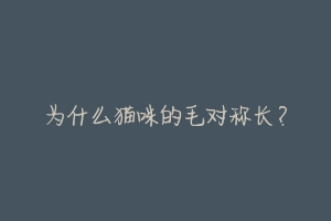 为什么猫咪的毛对称长?-动物百科