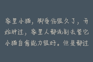 家里小猫，脚受伤很久了，开始肿过，家里人都说别去管它小猫自愈能力很好。但是都过了几个星期了？-动物百科
