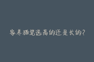 家养猫笼选高的还是长的？-动物百科