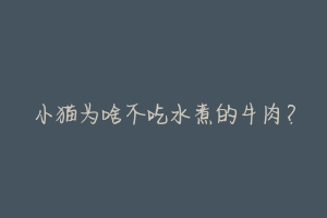 小猫为啥不吃水煮的牛肉？-动物百科