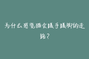 为什么感觉猫会蹑手蹑脚的走路？-动物百科