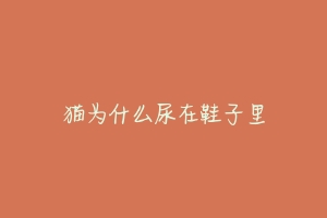 猫为什么尿在鞋子里-动物百科