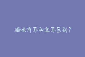 猫咪折耳和立耳区别？-动物百科
