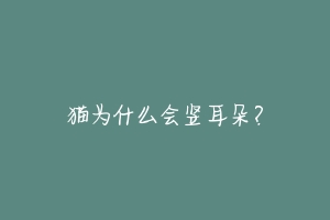 猫为什么会竖耳朵?-动物百科