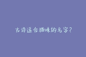 古诗适合猫咪的名字?-动物百科