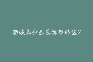 猫咪为什么总舔塑料袋?-动物百科