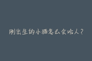 刚出生的小猫怎么会哈人?-动物百科
