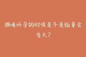 猫咪怀孕的时候是不是饭量会变大?-动物百科