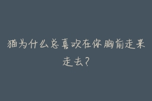 猫为什么总喜欢在你胸前走来走去?-动物百科
