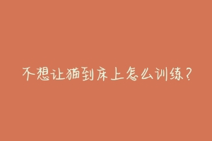 不想让猫到床上怎么训练?-动物百科